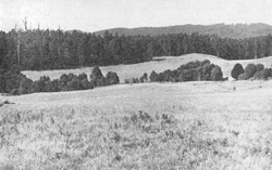 Unit 59 image a