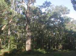 Unit 59 image b