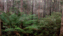 Unit 59 image c
