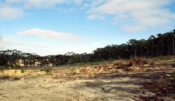 Unit 5 image c