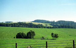 Unit 60 image a