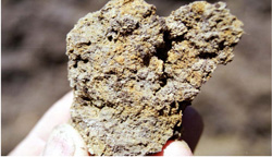 Unit 60 image c