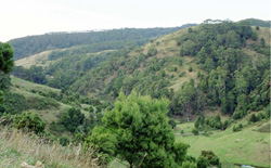Unit 61 image a