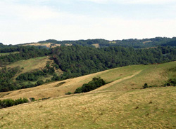 Unit 61 image b