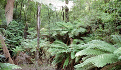 Unit 61 image c