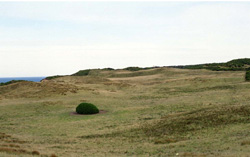 Unit 62 image a