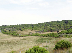 Unit 62 image b