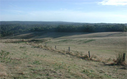 Unit 63 image a