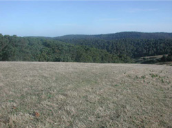 Unit 63 image b