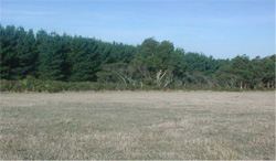 Unit 63 image c