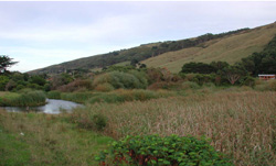 Unit 64 image a