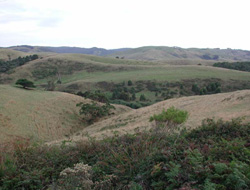 Unit 64 image b