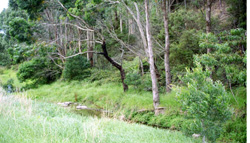 Unit 64 image c