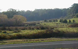 Unit 65 image a