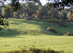 Unit 65 image b