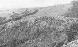 Unit 65 image c