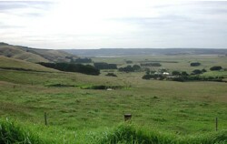 Unit 66 image a