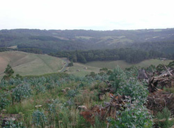 Unit 66 image b