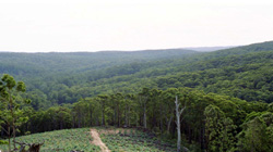 Unit 66 image c