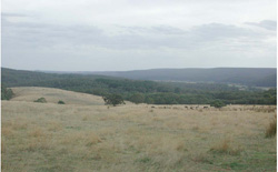 Unit 67 image a