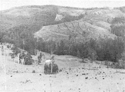 Unit 67 image b