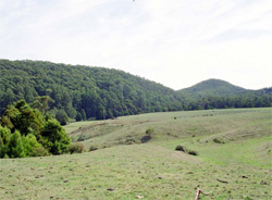 Unit 68 image b