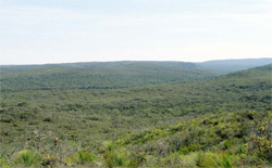 Unit 69 image a