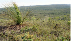 Unit 69 image c
