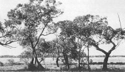 Unit 79 image c