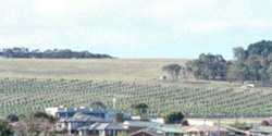Unit 80 image c