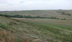 Unit 81 image a