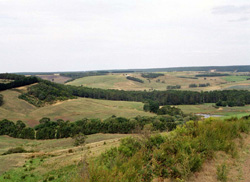 Unit 81 image b