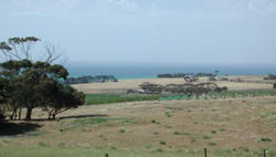 Unit 82 image c
