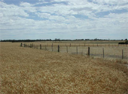 Unit 84 image b