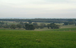Unit 85 image a