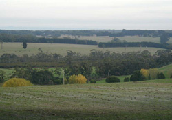 Unit 85 image b