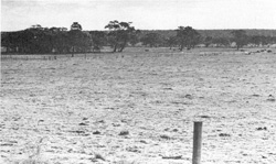 Unit 85 image c