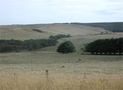 Unit 86 image b
