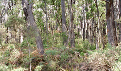 Unit 86 image c