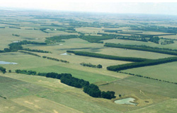 Unit 88 image a
