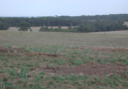 Unit 88 image b