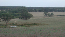 Unit 88 image c