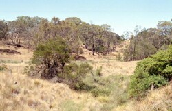 Unit 8 image c