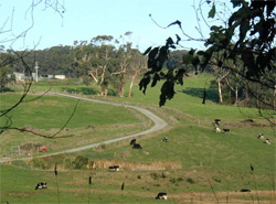 Unit 90 image b