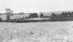 Unit 90 image c