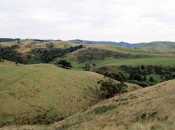 Unit 91 image b