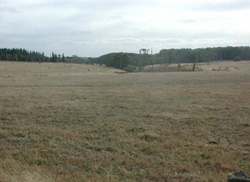 Unit 92 image b