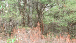 Unit 9 image c