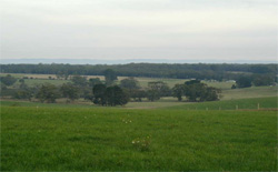 Unit 93 image a