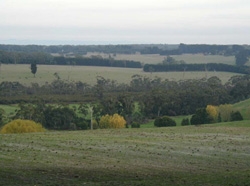 Unit 93 image b